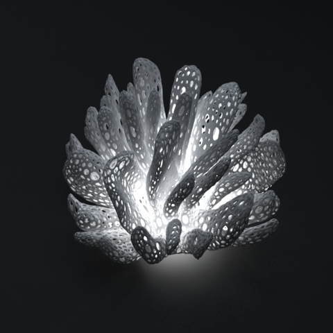 Coral lampshade 3D Print Model
