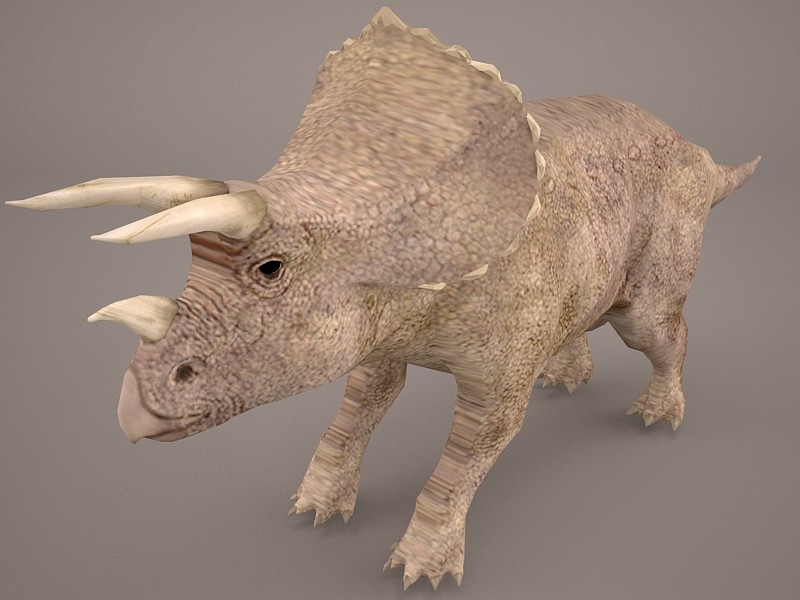 Triceratops 3D Model