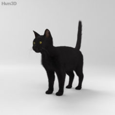 Black Cat HD 3D Model