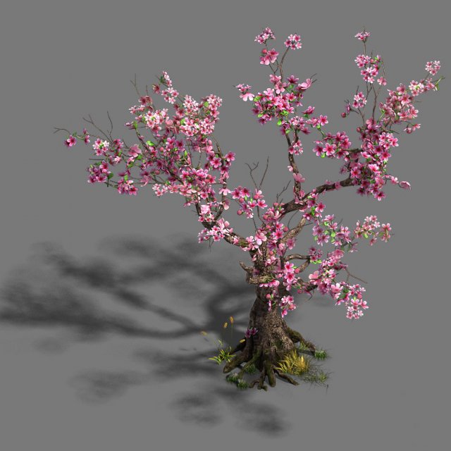 Forest – Peach Blossom Tree 21 3D Model