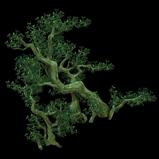 Game Model – Forest – Tree 02 3D Model