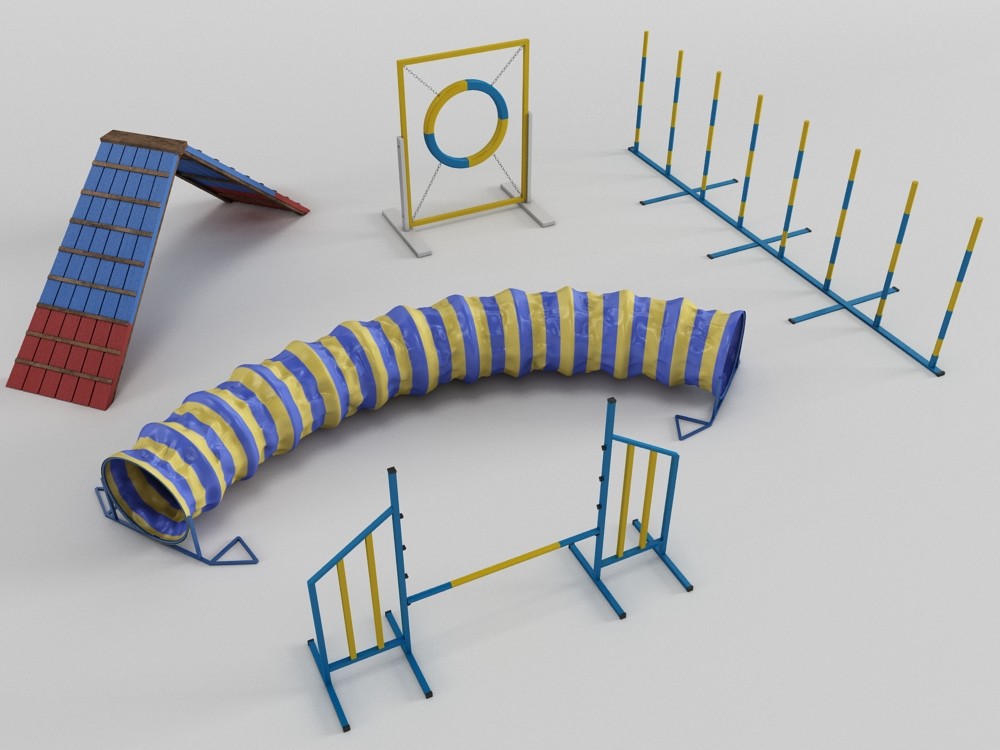 DOG AGILITY COLECTION 3D Model