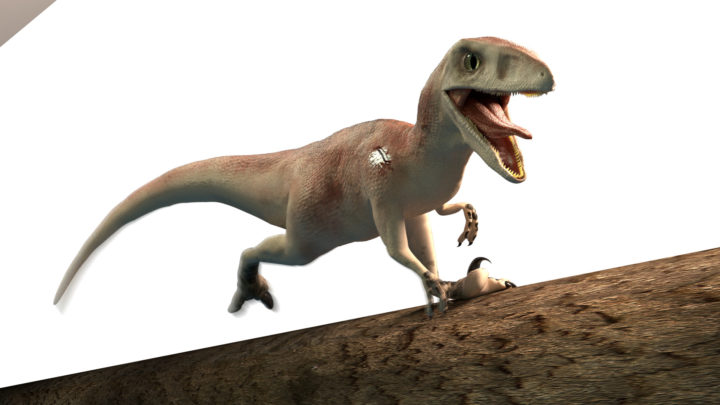 Raptor 3D Model