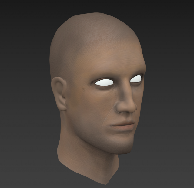 Head male 3D Model