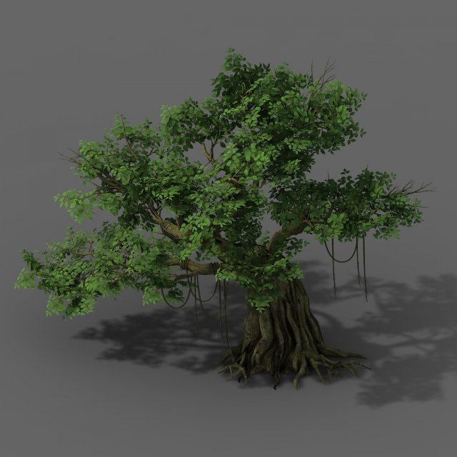 Plant – banyan tree 02 3D Model