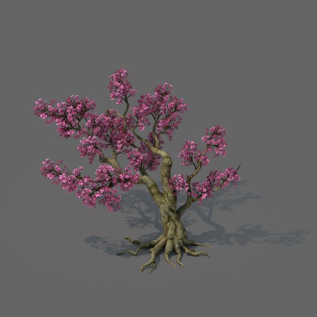 Forest – Peach Blossom Tree 02 3D Model