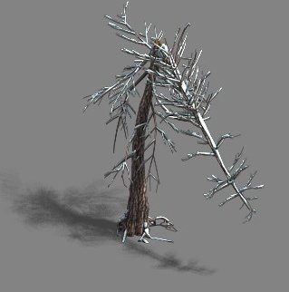 Ice and Snow – Cedar 03 3D Model