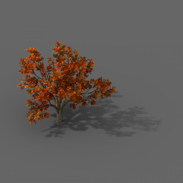 Plant – Shrub 01 3D Model