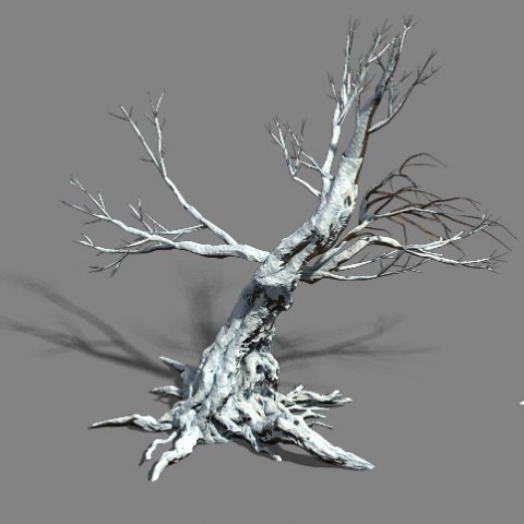 Snow – dead tree 1 3D Model