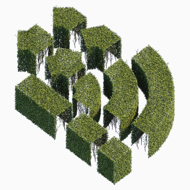 Hedge 400x600h 3D 3D Model