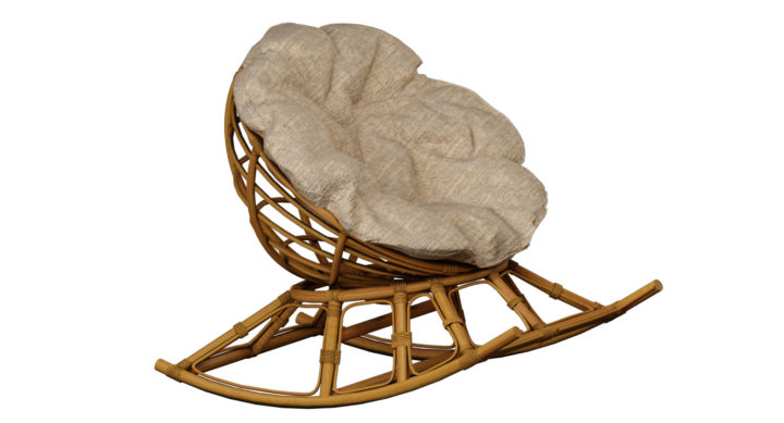 Papasan test 3D Model