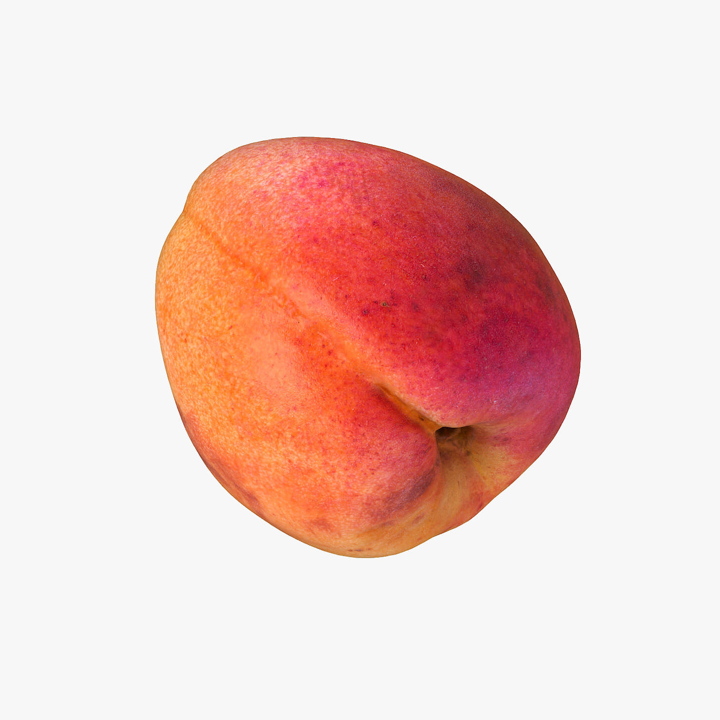 Apricot Realistic 05 3D Model