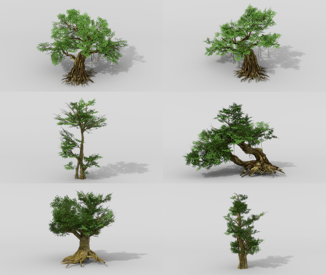 Banyan set 3D Model