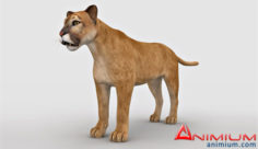 Mountain Lion 3d model