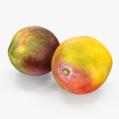 Mango Fruits Set 3D Model