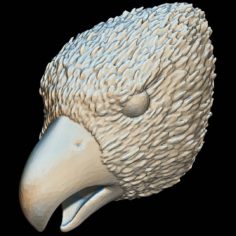 Relief bird head 3D model 3D Model