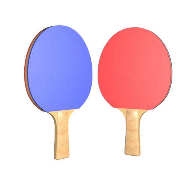 Ping Pong Paddle 3D Model