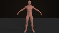 Human_Male-185cm 3D Model