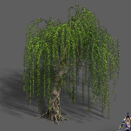 Plant – Willow 12 3D Model