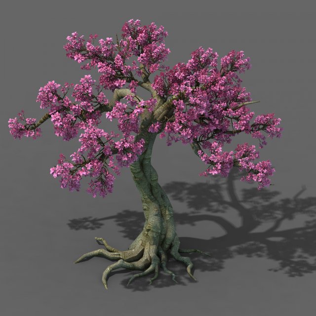 Forest – Peach Blossom Tree 04 3D Model