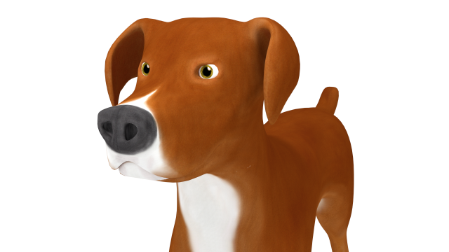 American Pitbull 3D Model