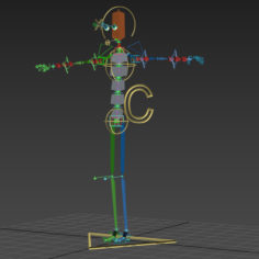 Rigging for Bone system 3D Model