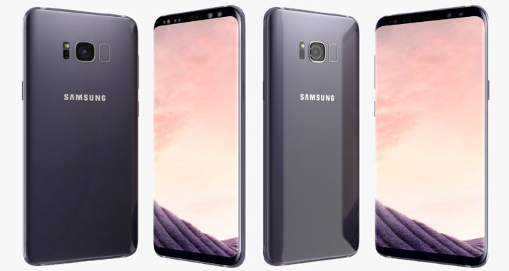 Samsung Galaxy S8 Orchid Gray 3D Model