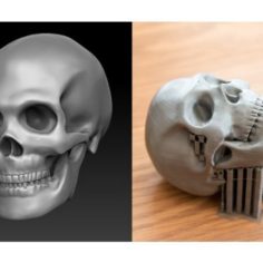 Skull 3D Print Model