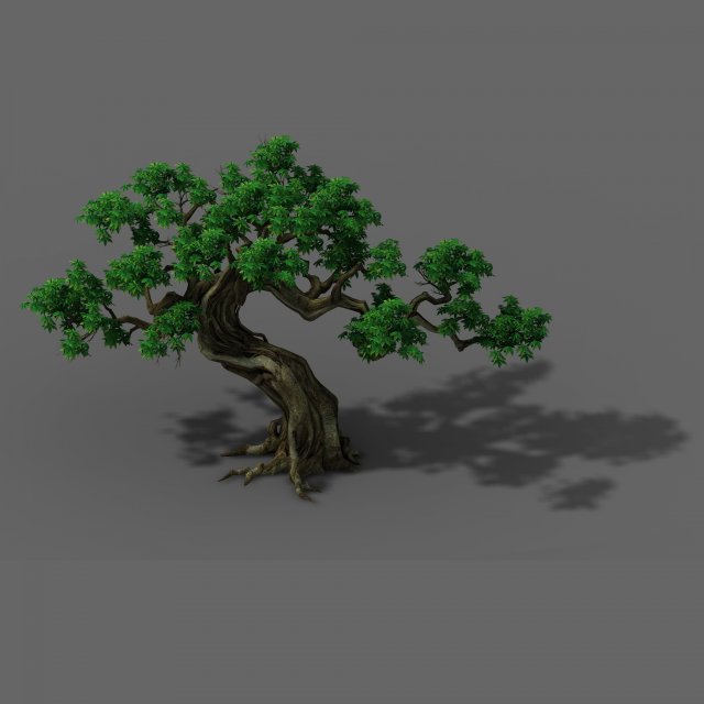 Plant – Green Trees 03 3D Model