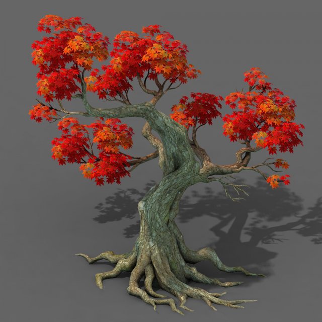 Forest – Maple Tree 18 3D Model