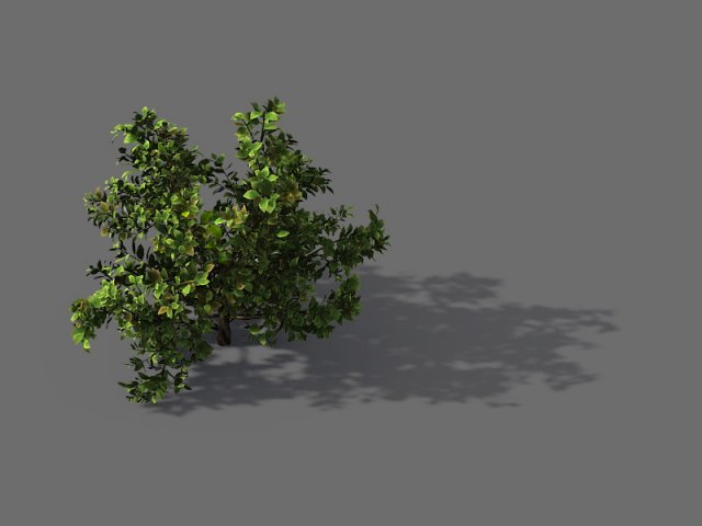 Game Model – Forest – Shrub 13 3D Model