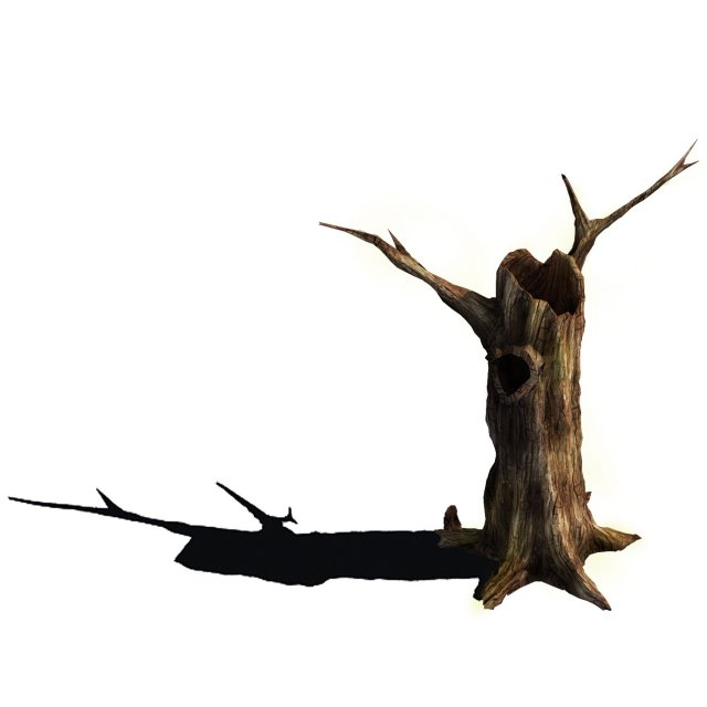 Desert – dead tree 11 3D Model