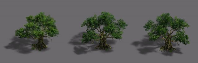 Plant – banyan tree 3D Model