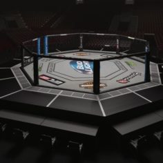 UFC Arena Interior 3D model 3D Model
