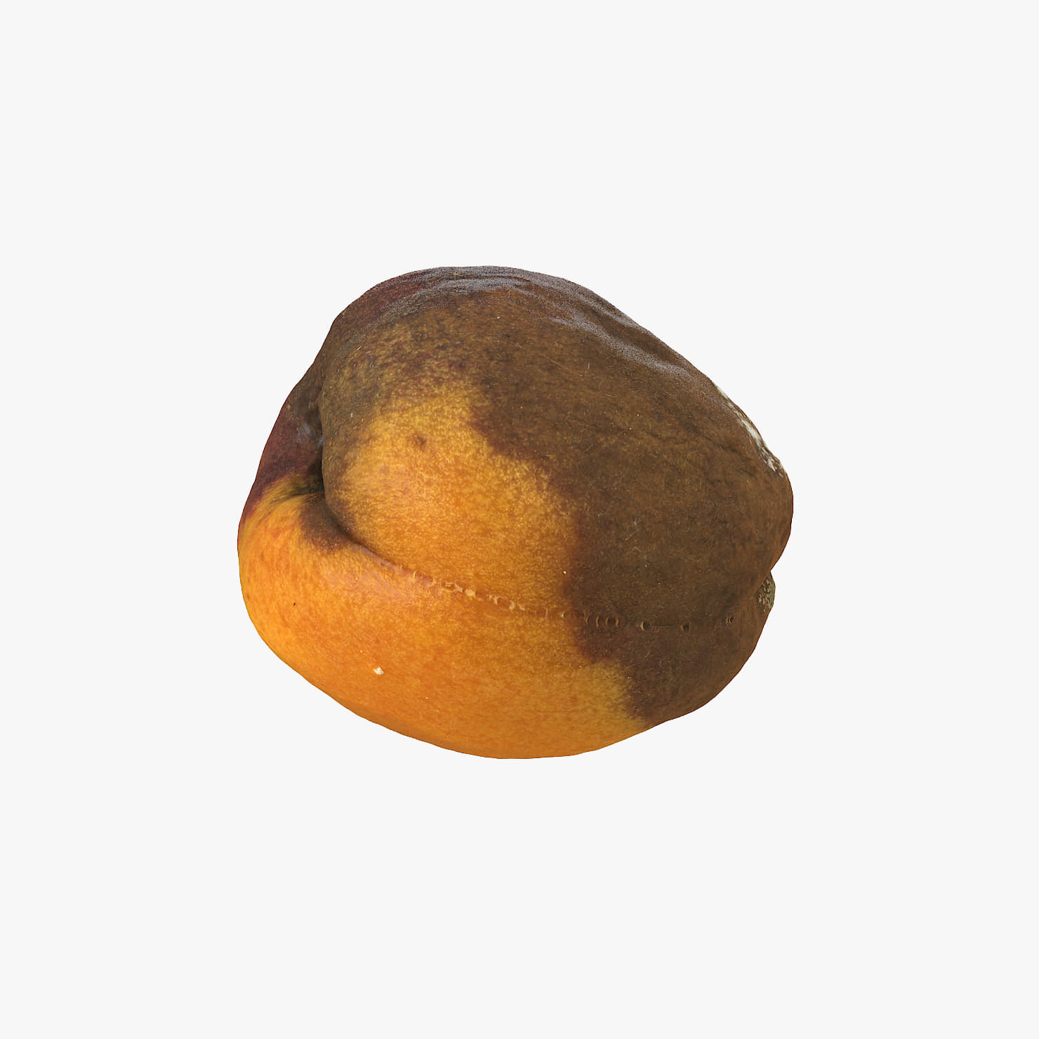 Rotten DecayedApricot 01 3D Model