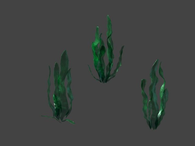 Game model – seabed – kelp 3D Model