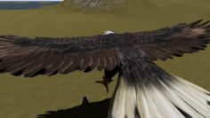 Eagle + MOTIONS 3D Model