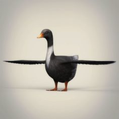 Low Poly Realistic Duck 3D Model