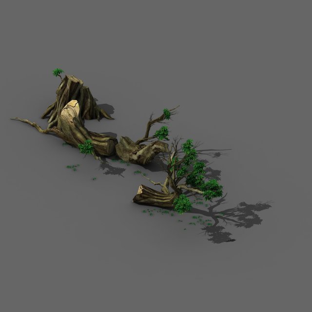 Plant – broken tree 01 3D Model