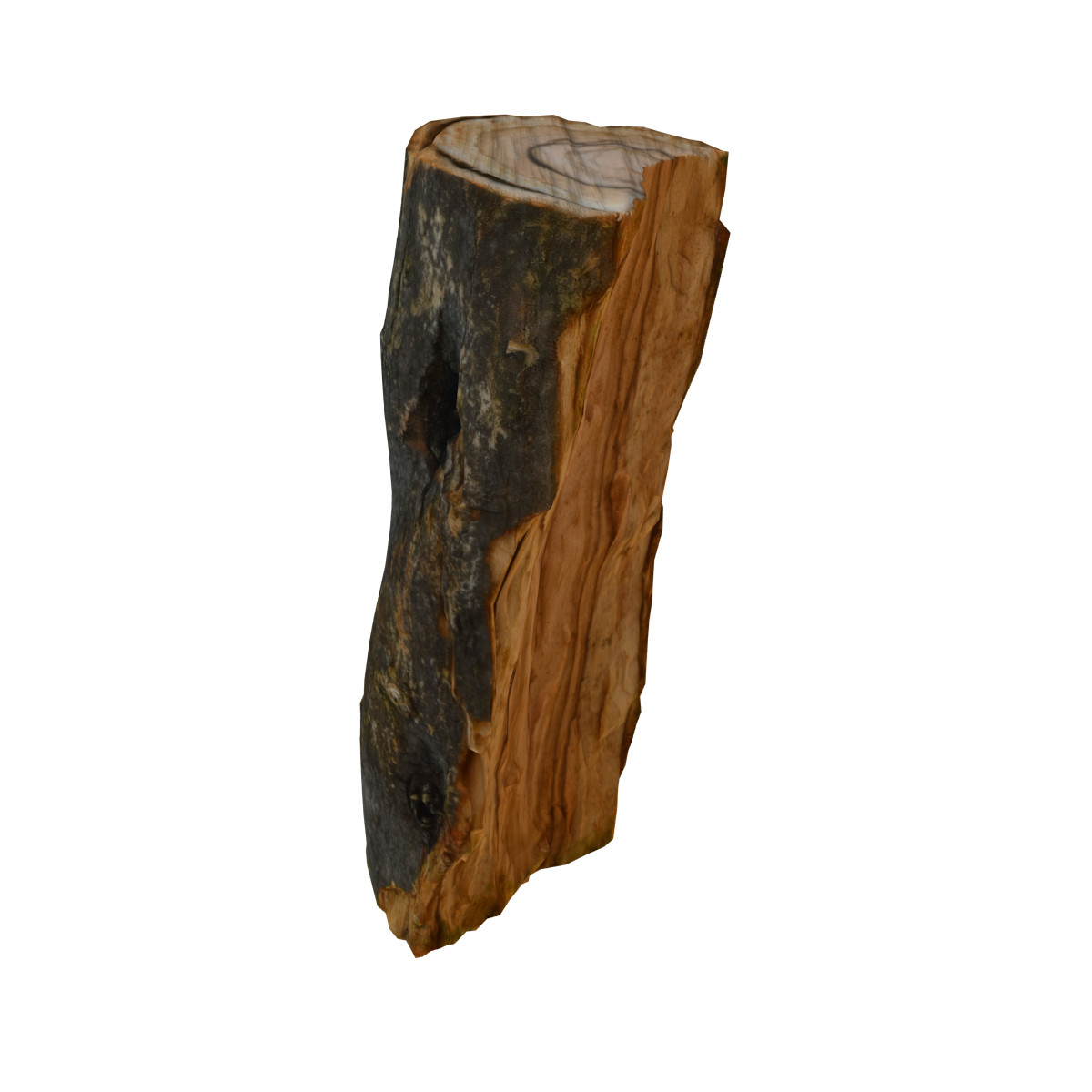Log 6 3D Model