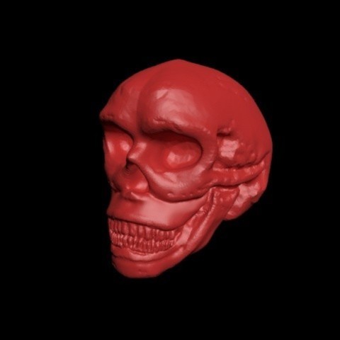 crâne 3D Print Model