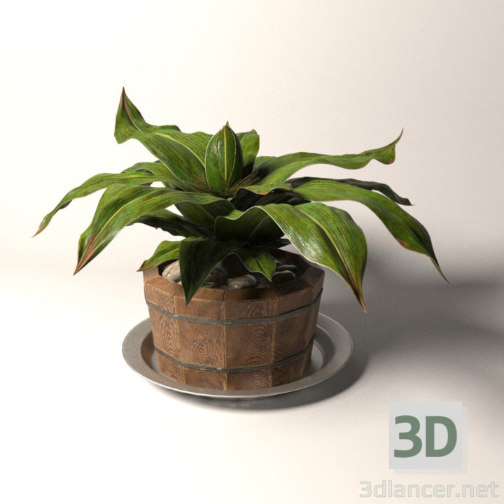 3D-Model 
Plant in a wooden pot