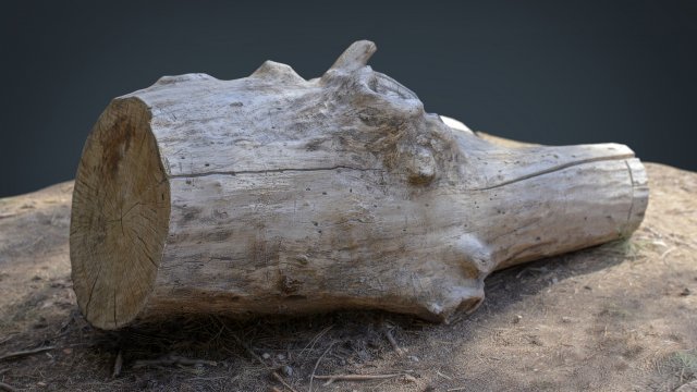 Dead trunk 4 3D Model