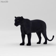 Black Panther HD 3D Model
