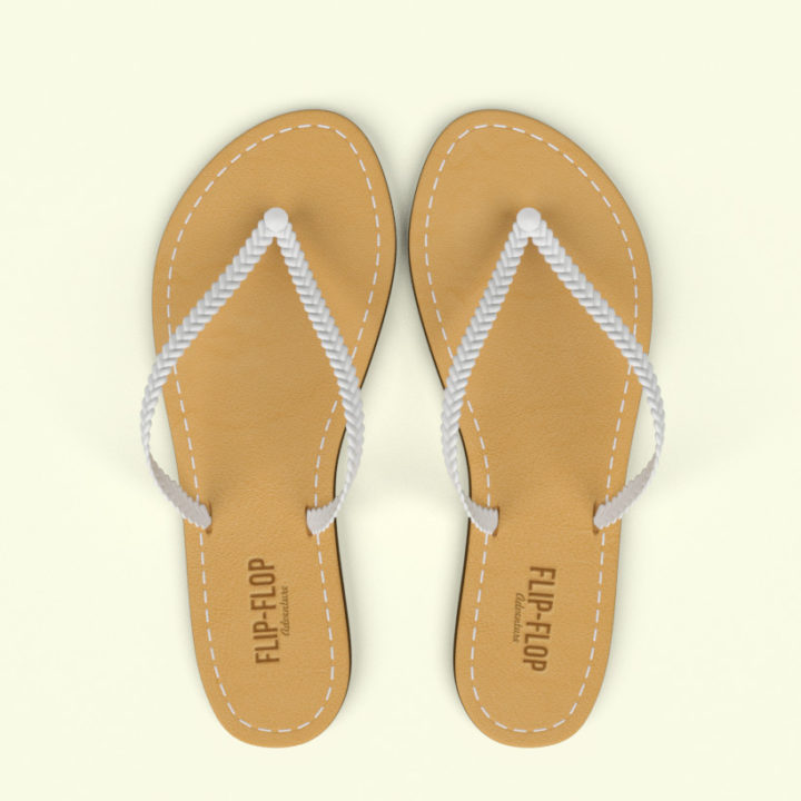 Flip-Flop Adventure 3D model 3D Model