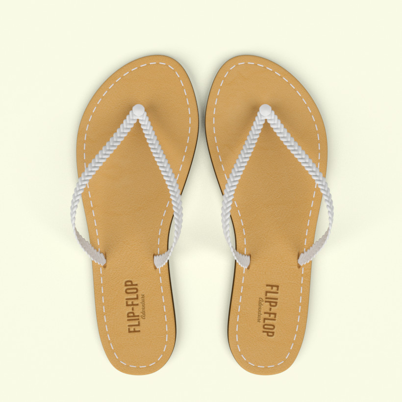 Flip-Flop Adventure 3D model 3D Model