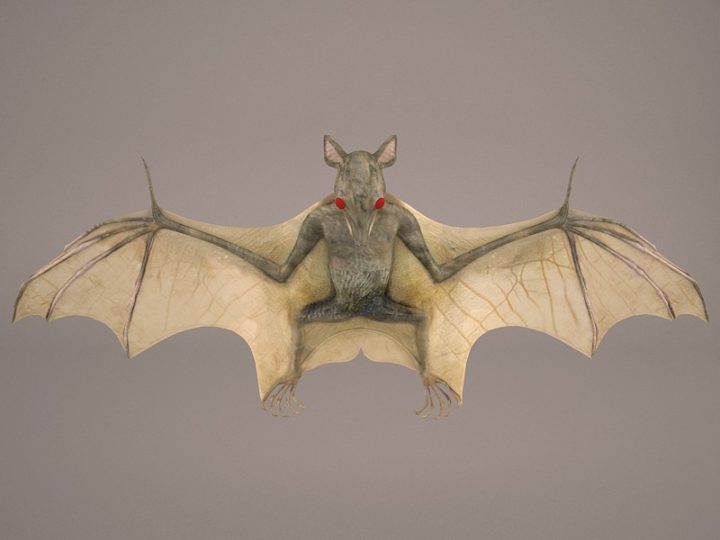 Bat 3D Model