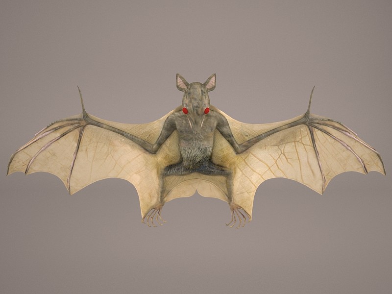 Bat 3D Model