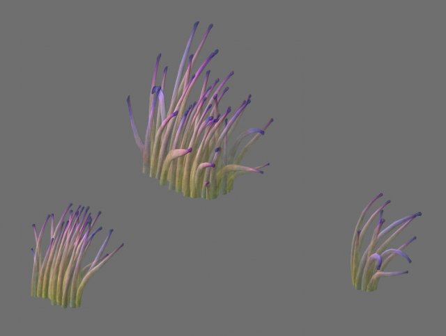 Game Model – Seabed – Bio 02 3D Model