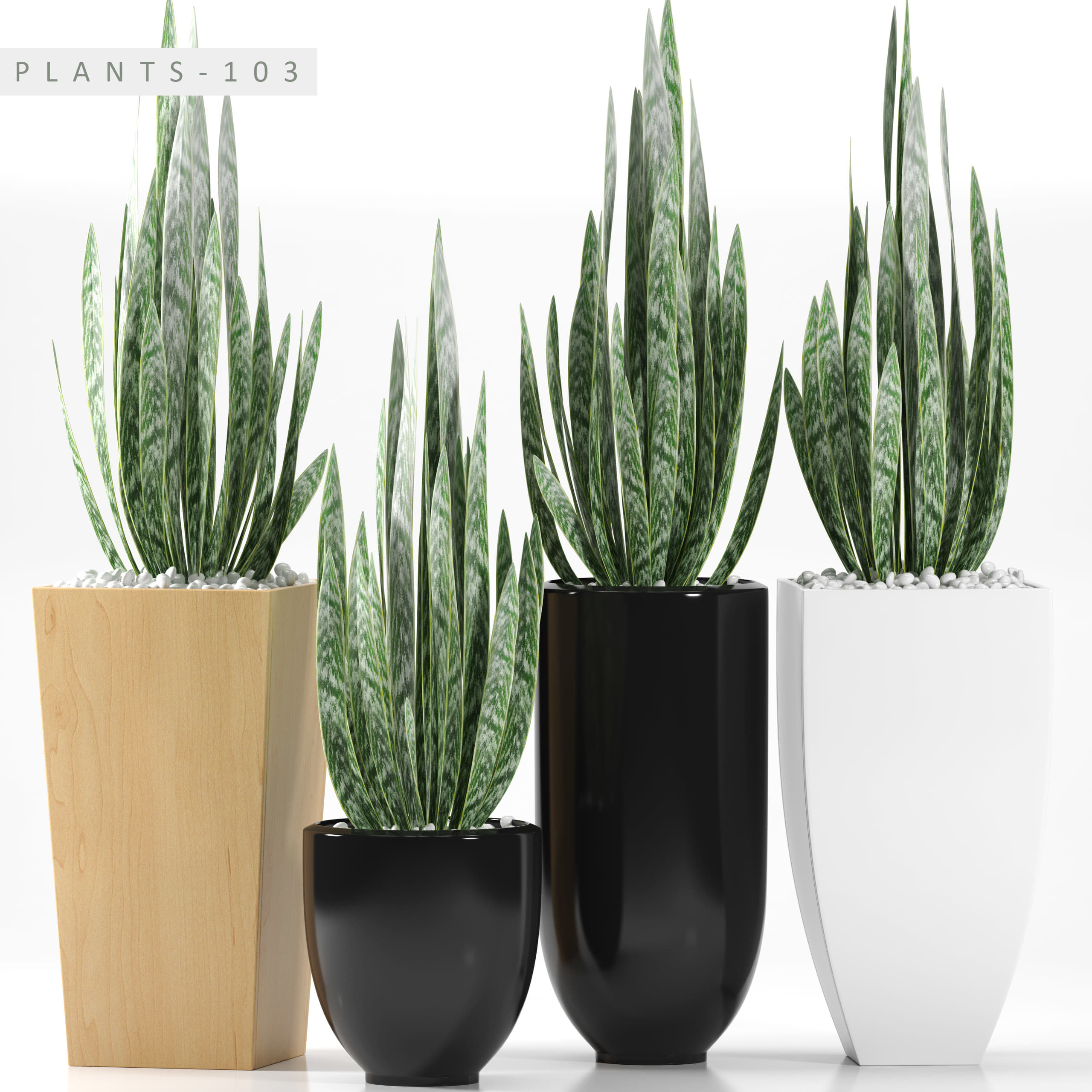 plants 103 3D 3D Model